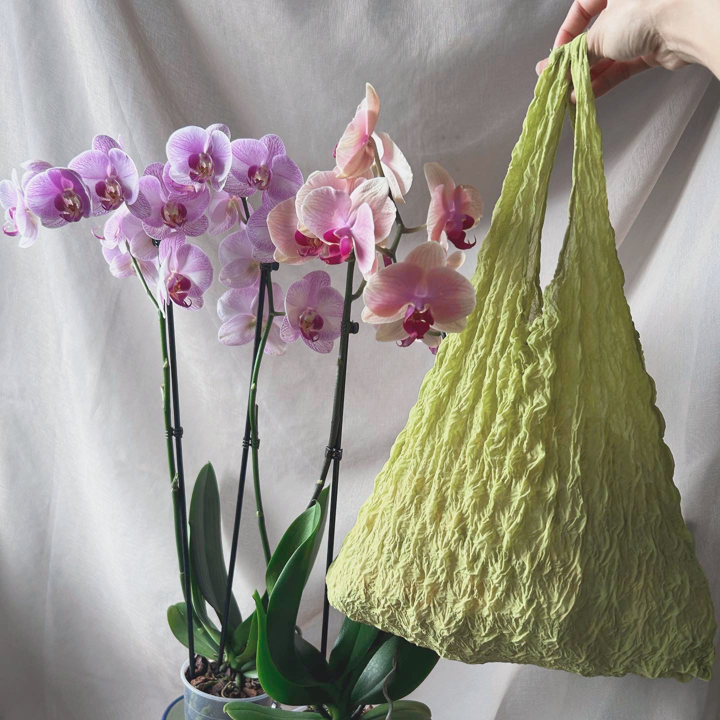 Grass green mesh thin Foldable Reusable grocery shopping bag-flex totes